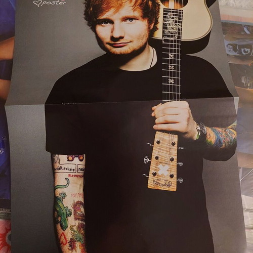 Ed Sheeran & The Vampire Diaries poster like new