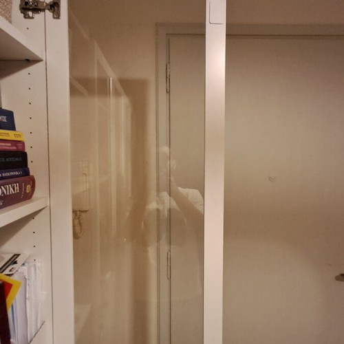IKEA BILLY bookshelf doors, set of 2