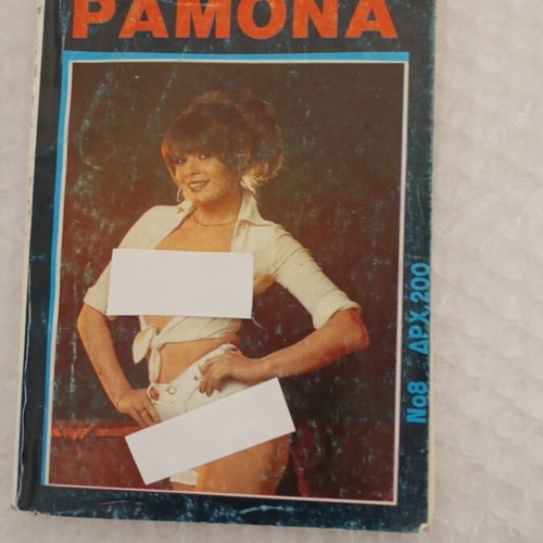 Ramona issue 8 erotic comic