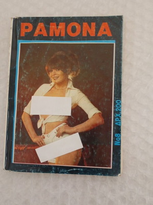Ramona issue 8 erotic comic