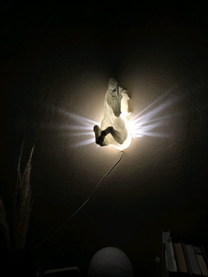 3d printed Pegasus Lamp
