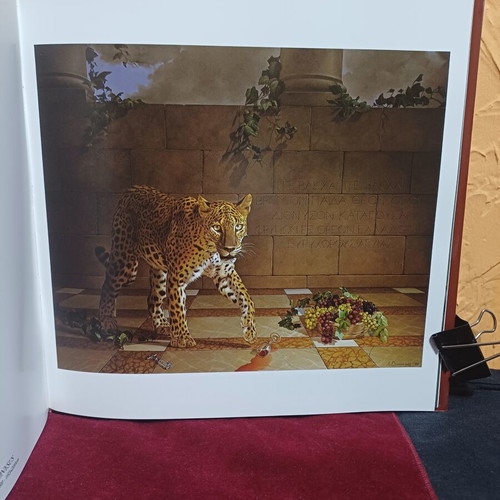 Droungas Art Book like new, bilingual edition