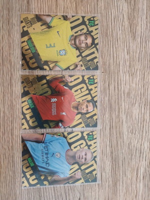 Holo Giant cards used