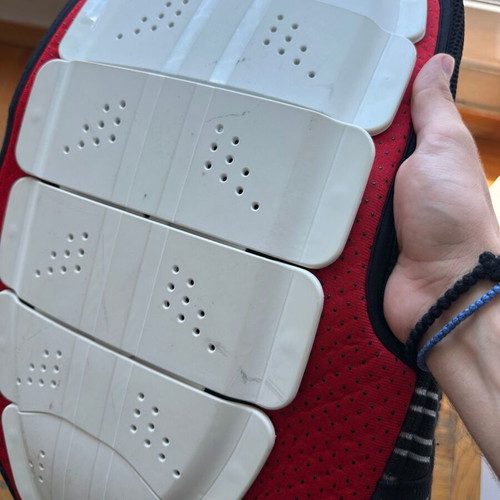 Back Protector for Extreme Sports used, ski season worn
