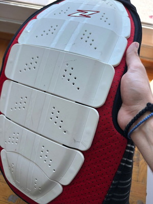 Back Protector for Extreme Sports used, ski season worn
