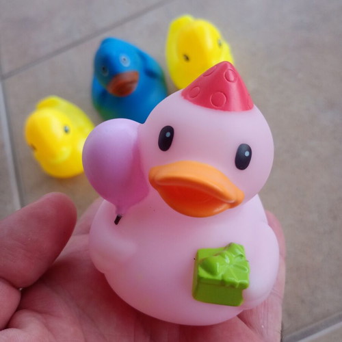 Rubber duck toys, pack of 5