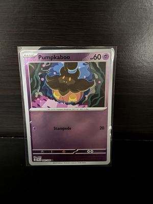 Pumpkaboo 040/086 Common Chaos Rising Pokemon Reverse Holo near mint