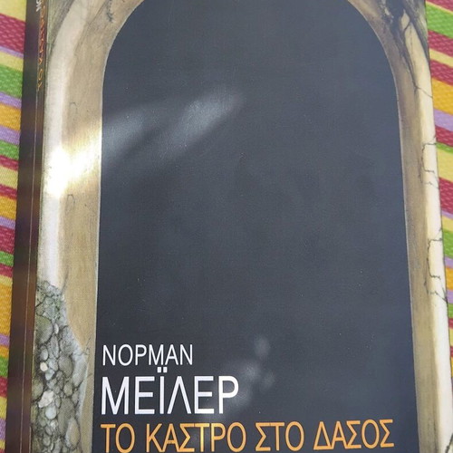 The Castle in the Forest novel like new