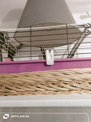 Cage for rabbit or guinea pig used with accessories