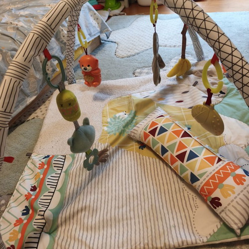 Fisher Price Baby Gym like new for 0-6 months