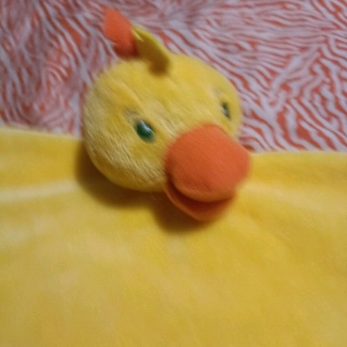 Sleep blanket used with plush duck