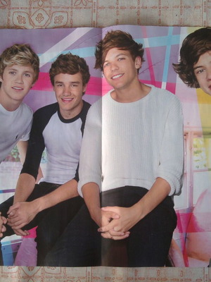 One Direction & Dogs poster like new, size 41.7x20.8