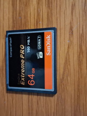 SanDisk Extreme Pro CompactFlash 64 GB 160 MB/s memory card