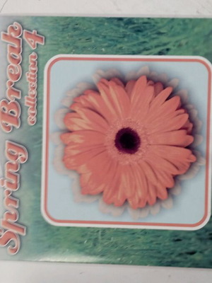 Spring Break Collection 4 CD like new