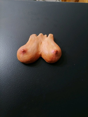 Handmade female body magnets new, plaster and acrylics