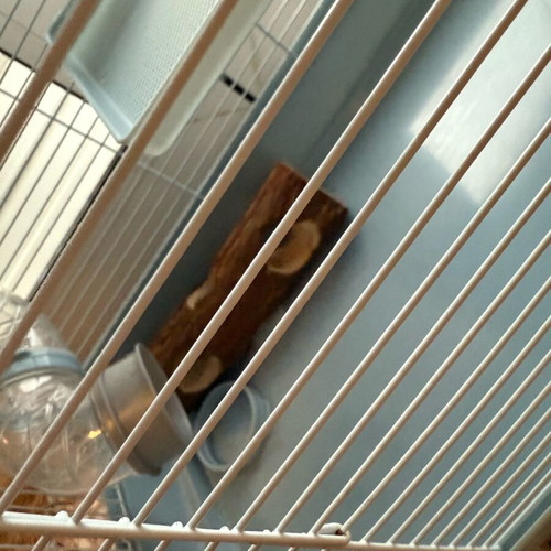 Large rodent cage like new
