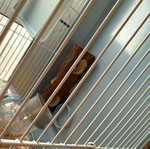Large rodent cage like new