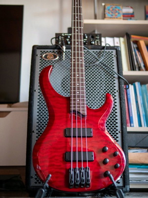 Ibanez btb