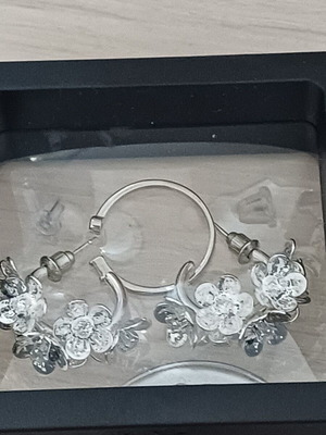 Earrings silver color new with gift ring open with two stones