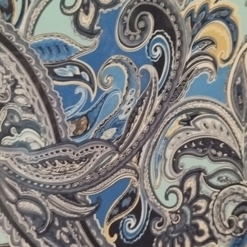 Ths Fashion blue maxi dress with paisley pattern