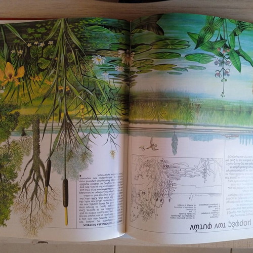 Encyclopedia Gnorizo to Chthes, to Simera, to Avrio and Epistimi like new, set of 31 volumes