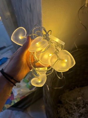Heart String Lights like new