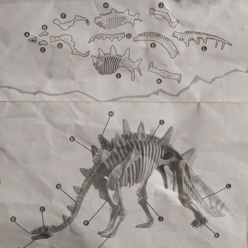 Assembled plastic dinosaur skeleton like new