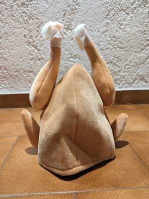 Carnival turkey hat used