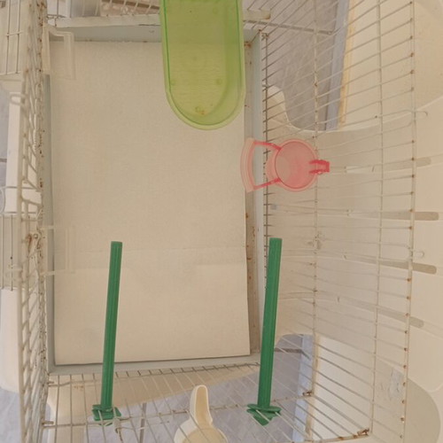 Birdcage with accessories used