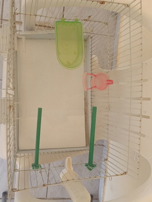Birdcage with accessories used