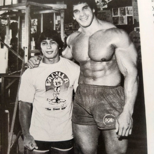 The Gold's Gym Book of Bodybuilding book like new, vintage volume 310