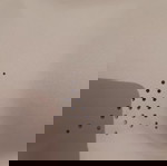 Αθλητικό σουτιέν Brooks 36C/D μπλε αχρησιμοποίητο χωρίς ραφές