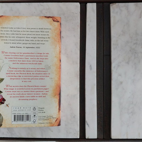 The Lost Book of Salem used book in English