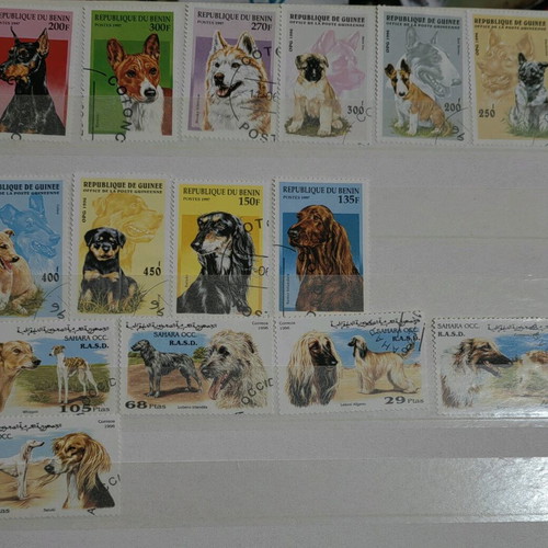 Dog-themed stamp collection like new, 15 pieces