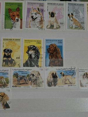 Dog-themed stamp collection like new, 15 pieces