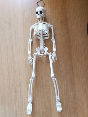 Skeleton Pendant souvenir for Halloween new with movable joints