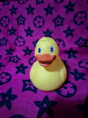 Bebe bath toy duck used