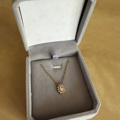 Women's necklace stainless steel with gold plating and zircon