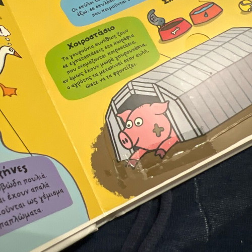 Little Explorers At The Farm used children's book