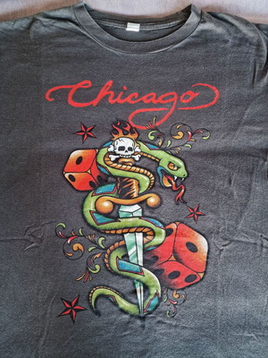 T-shirt Chicago used, size L, gray
