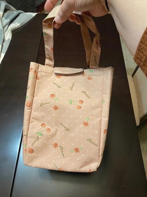 Insulated bag new, antique rose color with cherries