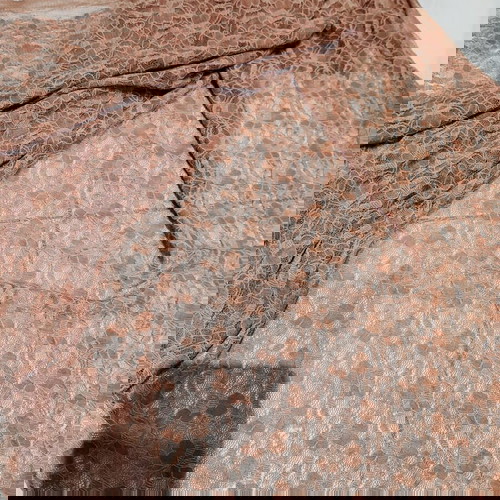 Cotton lace in brown beige shades new