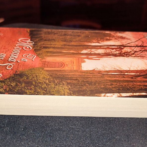 The Secrets of Savannah book like new