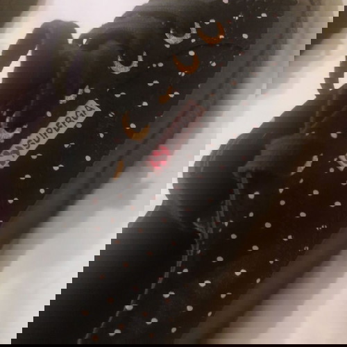 Ολοκαίνουργια αθλητικά γυναικεία παπούτσια Superga νούμερο 38