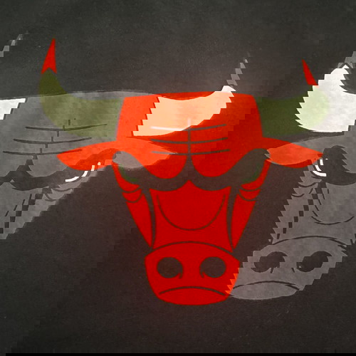 Νέα Εποχή Τζάκετ Τροχιάς Chicago Bulls (M)