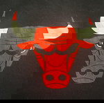 Νέα Εποχή Τζάκετ Τροχιάς Chicago Bulls (M)