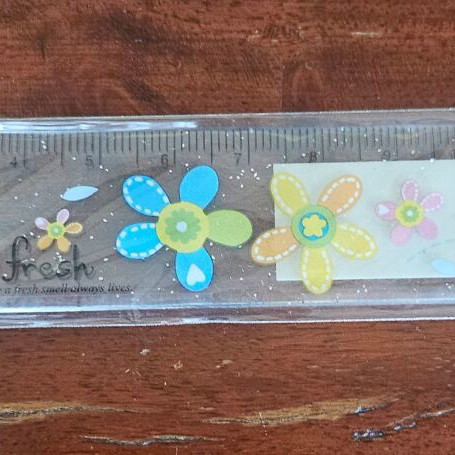 Ruler 13 cm new