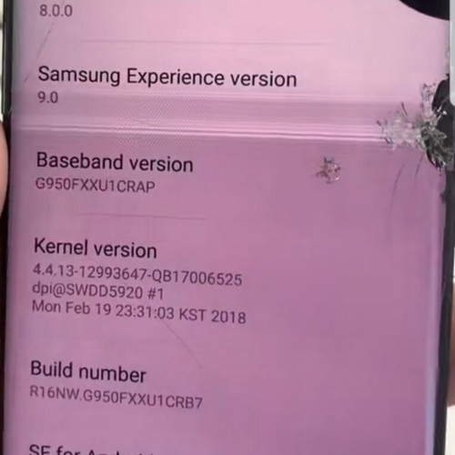 Samsung S8 motherboard with Samsung Experience 9