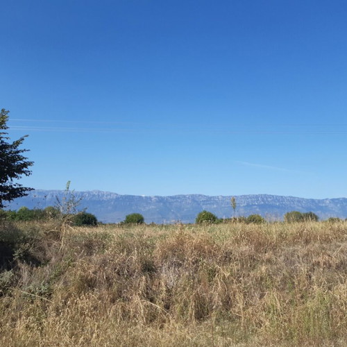 Buildable agricultural land 6,196 sqm in Agioi Apostoloi Trikala