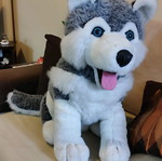 Large stuffed dog 55 cm like new